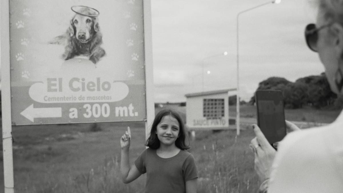 詹姆斯·麦卡沃伊主演惊悚片《不速之客》首发预告，布伦屋再造心理噩梦