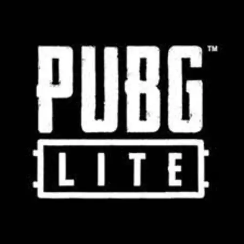 绝地求生轻量版 (PUBG Lite) 电脑版