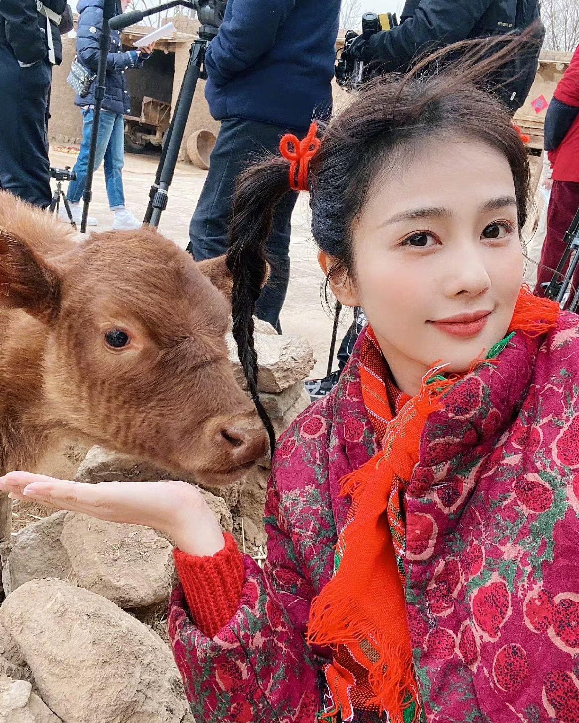 白鹿《唐宫奇案》血色嫁衣美出圈，揭秘她从试镜失败到顶流的7个故事-4