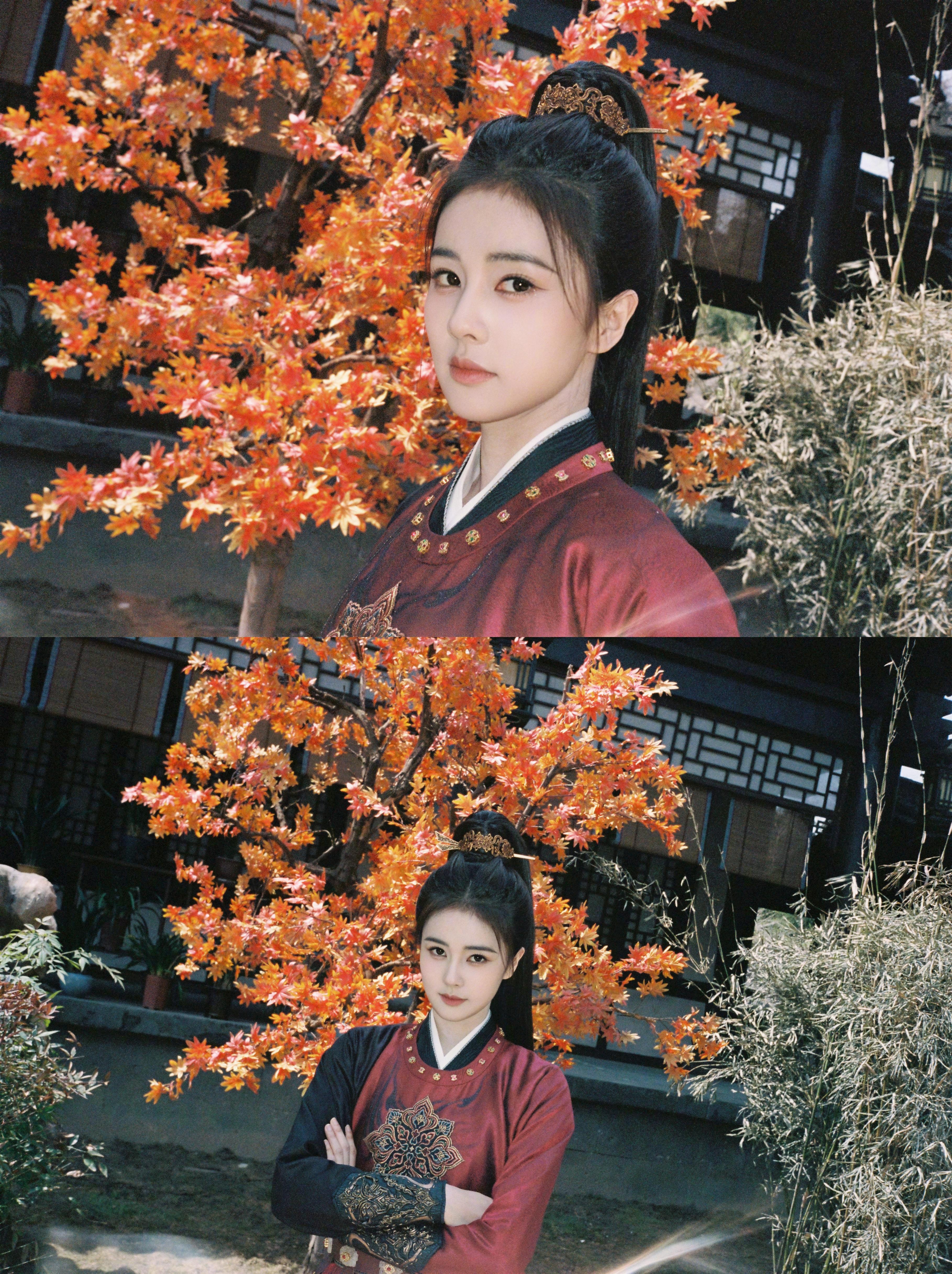 白鹿的造型相当帅气