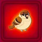 笼中救麻雀 (Sparrow Rescue From Cage)