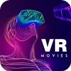 VR 电影和播放器