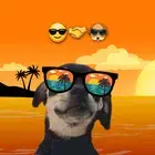 El Pana Sergio stikers